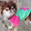 Color-Block Hoodie