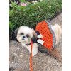 Halloween Dog Harness Dress